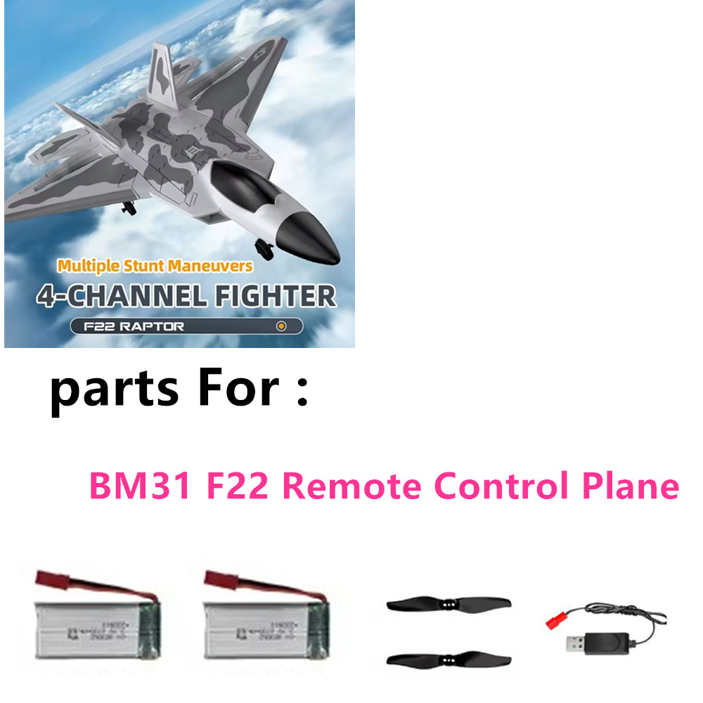 Originalteile BM31 RC-Flugzeug – Drone F22 Rc Bewertung und Preis